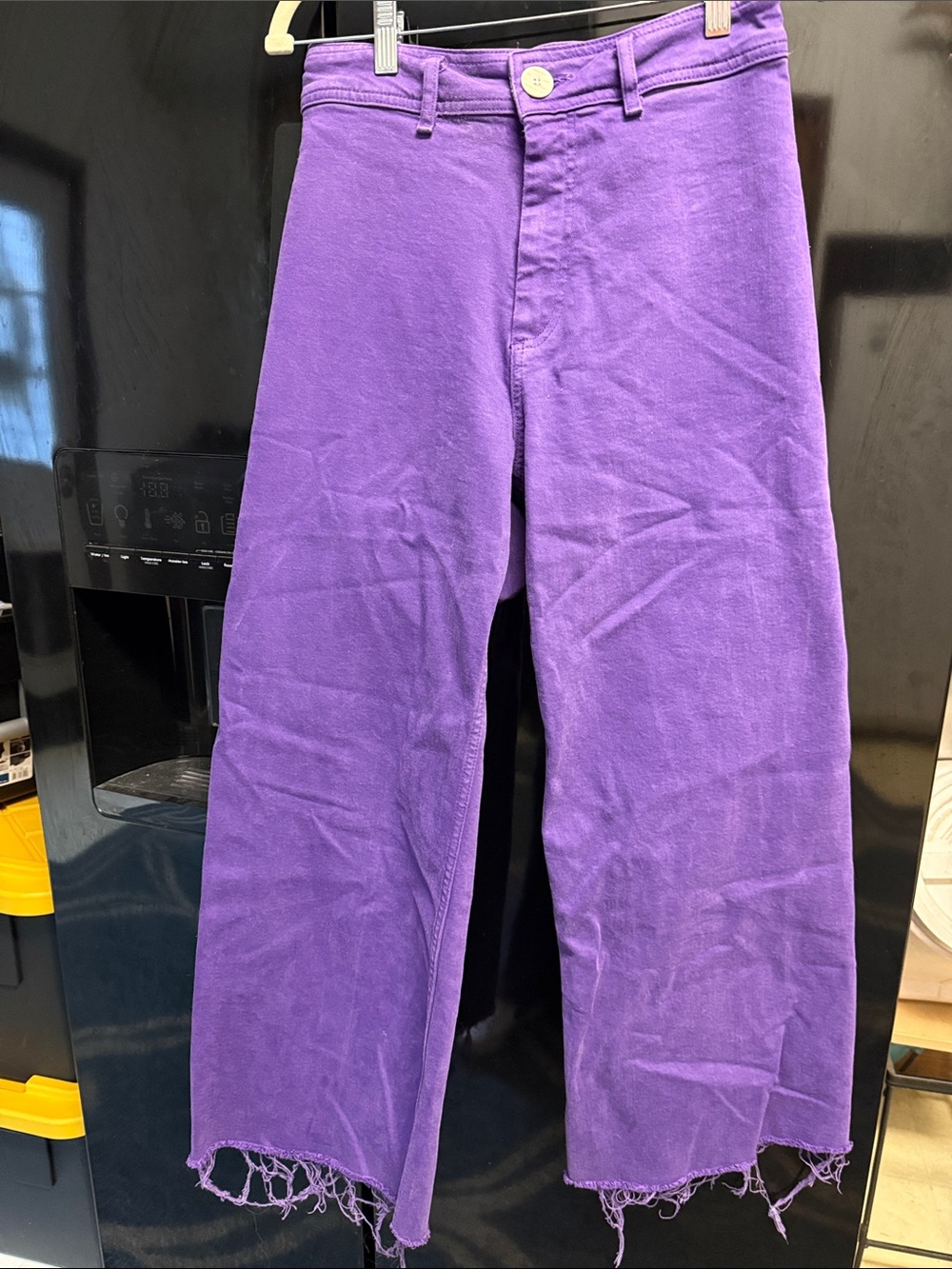 ZARA Women’s Purple Wide-Leg Frayed Hem Pants